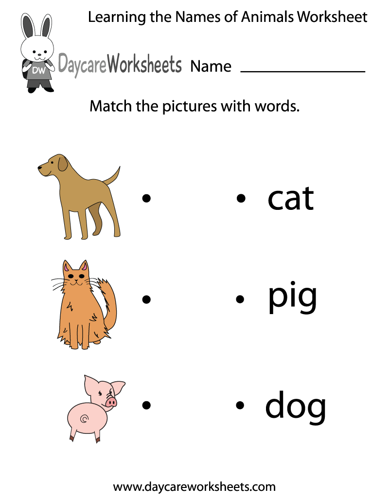 animals pictures with names for kids download